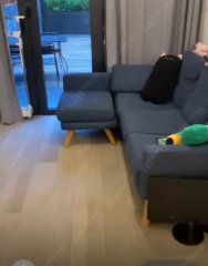 荟荞 沙田 低层 1738806 售盘