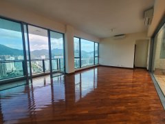 御龙山 沙田 顶层 1746846 售盘