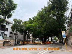 美华阁