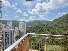 晋名峰 沙田 高层 025696 售盘