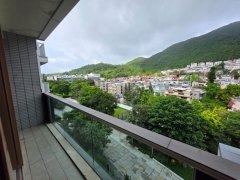 傲泷 西贡 S019442 售盘