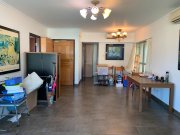 帝欣苑 大埔 1724622 售盤