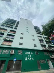 杨耀松第六工业大厦 长沙湾 高层 1740532 售盘