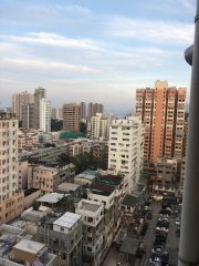 寶康大廈 大埔 高層 T102527 售盤