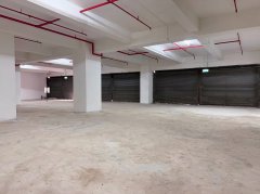 环凯广场 土瓜湾 低层 C184024 售盘