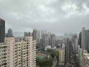 瑜一 何文田 中层 1680758 售盘