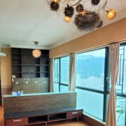 皇御居 沙田 高層 1698002 售盤