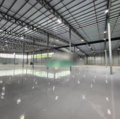 坪輋 粉嶺 Y037404 售盤