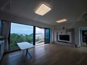 峻源 馬鞍山 低層 1723364 售盤