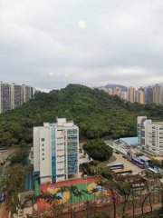 花園城 沙田 高層 S026474 售盤