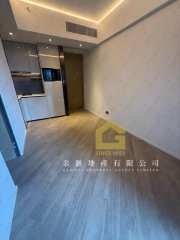 THE HENLEY 启德 低层 W170997 售盘