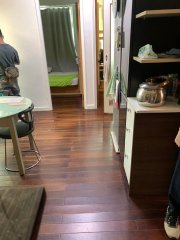 黄埔新村 红磡 高层 1762556 售盘