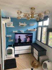 竹园北村 黄大仙 高层 N125640 售盘