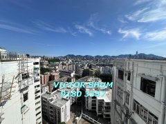 雅景楼 九龙塘 高层 T141926 售盘