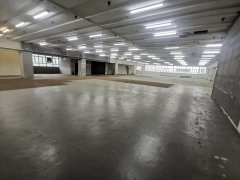 太平工業園 大埔 中層 1776604 售盤