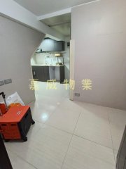 沙田圍路 沙田 中層 1739018 售盤