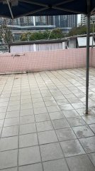 田心村 沙田 T180912 售盤