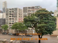 明麗園 九龍塘 T135815 售盤