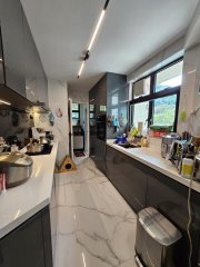 滌濤山 大埔 低層 R160635 售盤