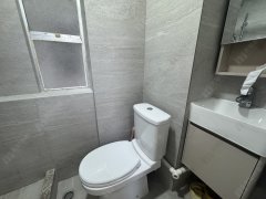 沙田中心 沙田 低层 1730898 售盘