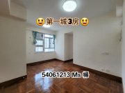 沙田第一城 沙田 1648442 售盤