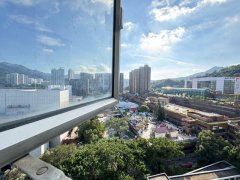 沙田中心 沙田 中层 1753258 售盘