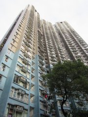 華貴村 薄扶林 低層 A016061 售盤