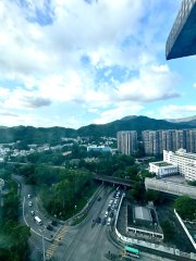 寶雅苑 大埔 高層 T155269 售盤