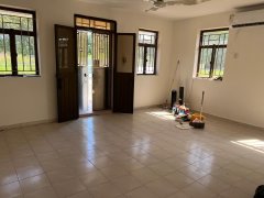 石桥头 粉岭 009020 售盘