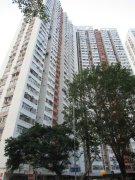 利東村 香港仔 中層 H027501 售盤