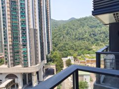 海茵庄园 将军澳 低层 1780352 售盘
