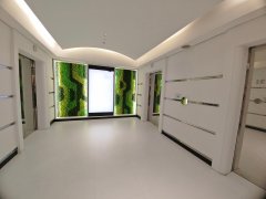 新纪元广场 上环 中层 1771366 售盘