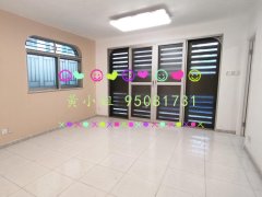 布心排 大埔 地下 J120168 售盘