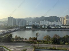 河畔花園 沙田 中層 T030824 售盤