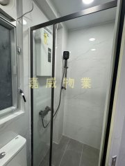河畔花园 沙田 B021952 售盘
