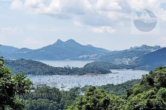 黃竹山新村 西貢 低層 C038399 售盤