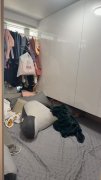 錦駿苑 馬鞍山 中層 T180518 售盤