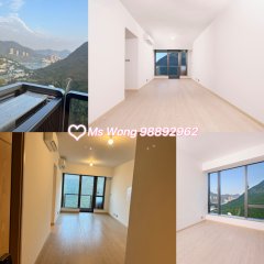 港岛南岸 黄竹坑 1743292 售盘