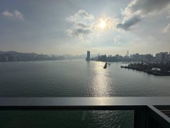 维港湾畔 启德 高层 1772922 售盘