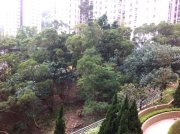 嘉峰台^^富誠筍盤推介^^ 牛池灣 低層 N125018 售盤