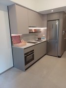 NOVO LAND PH 03B 屯门 低层 S011128 售盘