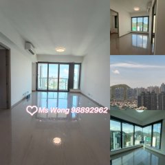 港岛南岸 黄竹坑 1745860 售盘