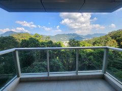 富豪山峰 沙田 低層 1731408 售盤
