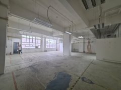 華衛工貿中心 沙田 低層 C075518 售盤