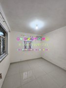 布心排村 大埔 地下 P173209 售盘