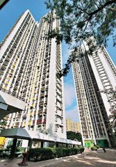 天马苑 横头磡 高层 D093410 售盘