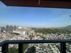 THE 元朗 高層 1776760 售盤