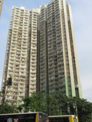 华贵村 薄扶林 中层 A015533 售盘