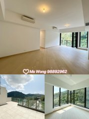 毕架金峰 沙田 1749872 售盘