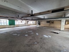 裕林工業大廈 葵涌 中層 C116427 售盤